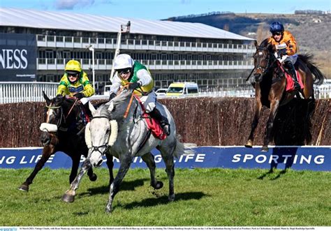 cheltenham 2022 results today.